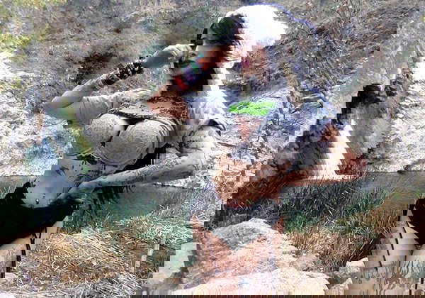 zommmbri image ~ Altpins