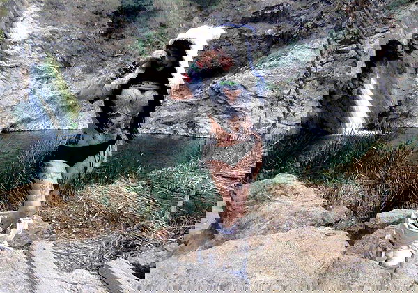 zommmbri image ~ Altpins