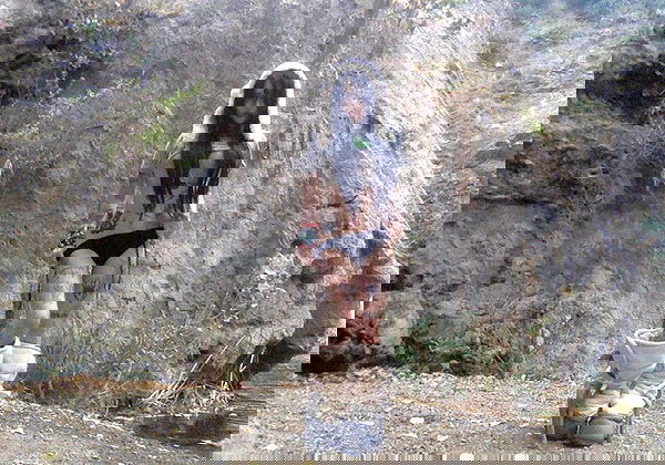 zommmbri image ~ Altpins