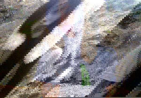 zommmbri image ~ Altpins