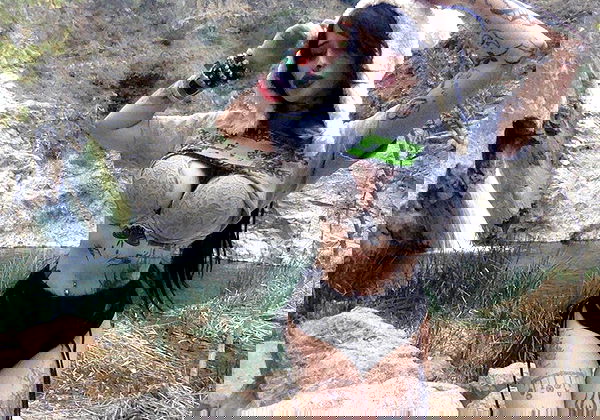 zommmbri image ~ Altpins