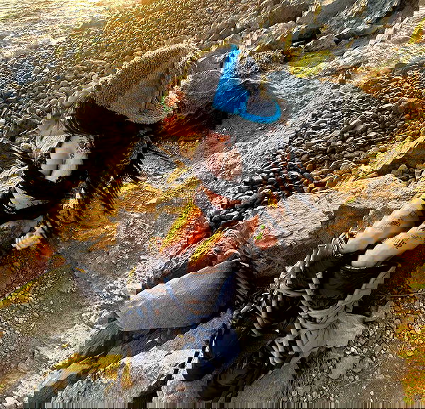 zommmbri image ~ Altpins