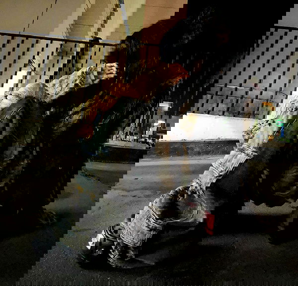 zommmbri image ~ Altpins