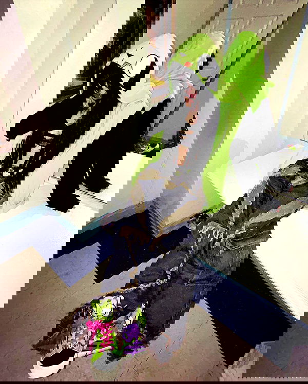 zommmbri image ~ Altpins