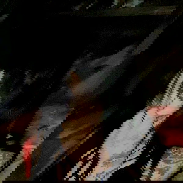 zommmbri image ~ Altpins