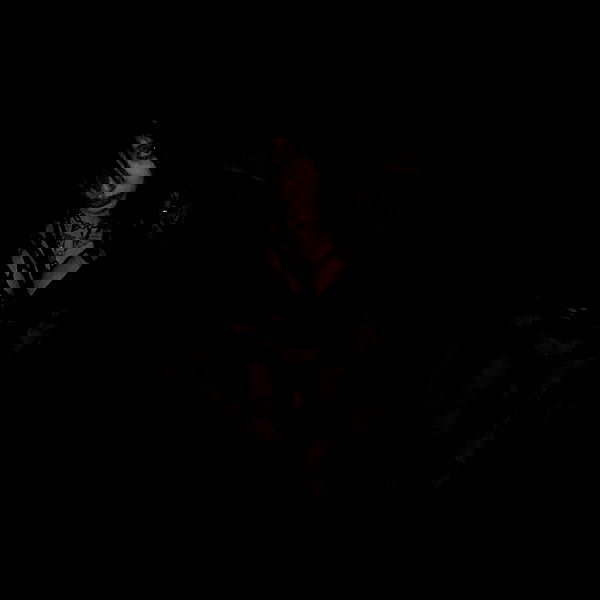 zommmbri image ~ Altpins