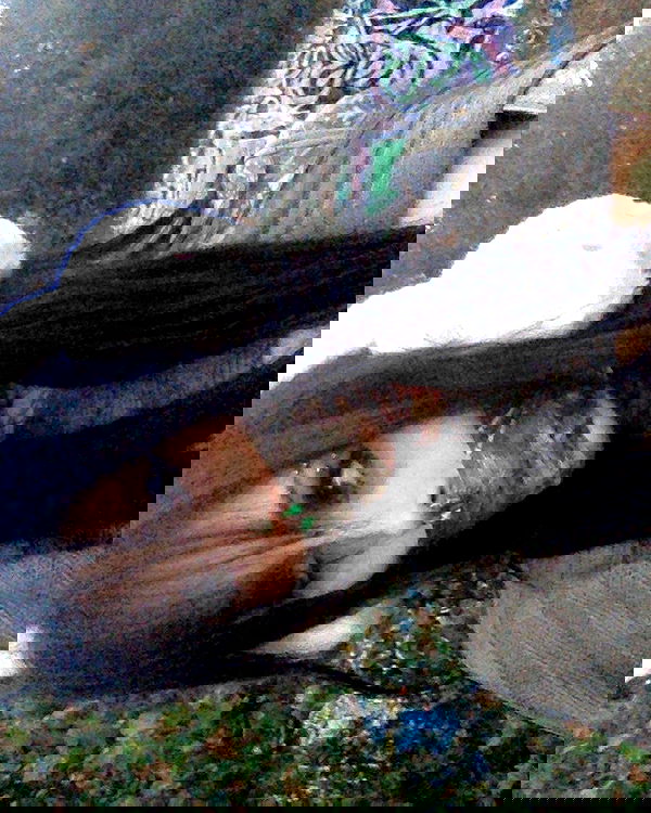 zommmbri image ~ Altpins