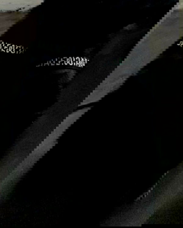 zommmbri image ~ Altpins