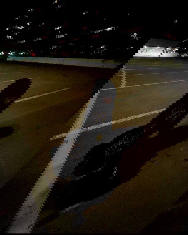 zommmbri image ~ Altpins