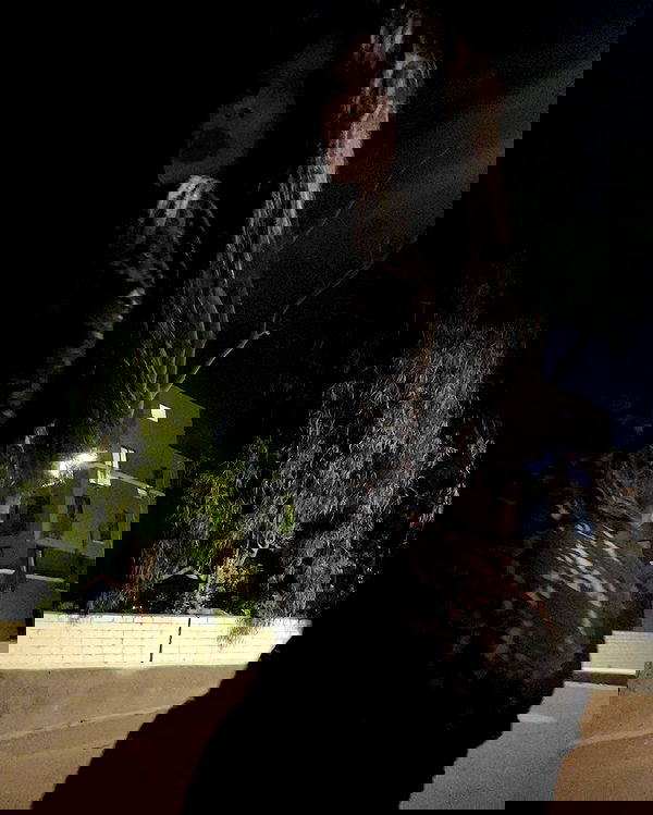 zommmbri image ~ Altpins