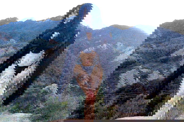 zommmbri image ~ Altpins