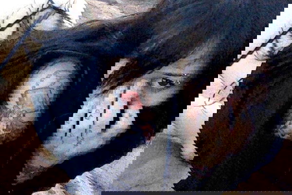 zommmbri image ~ Altpins