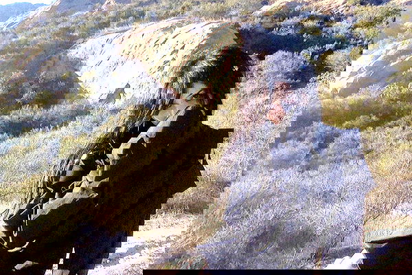 zommmbri image ~ Altpins