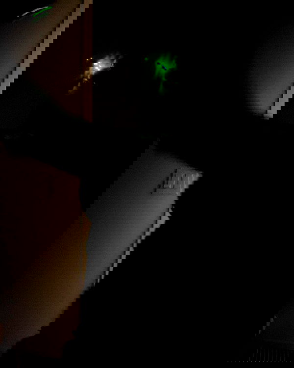 zommmbri image ~ Altpins