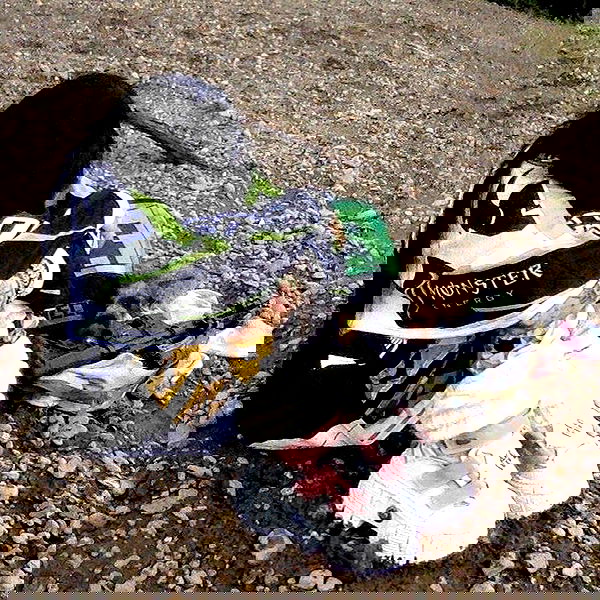 zommmbri image ~ Altpins