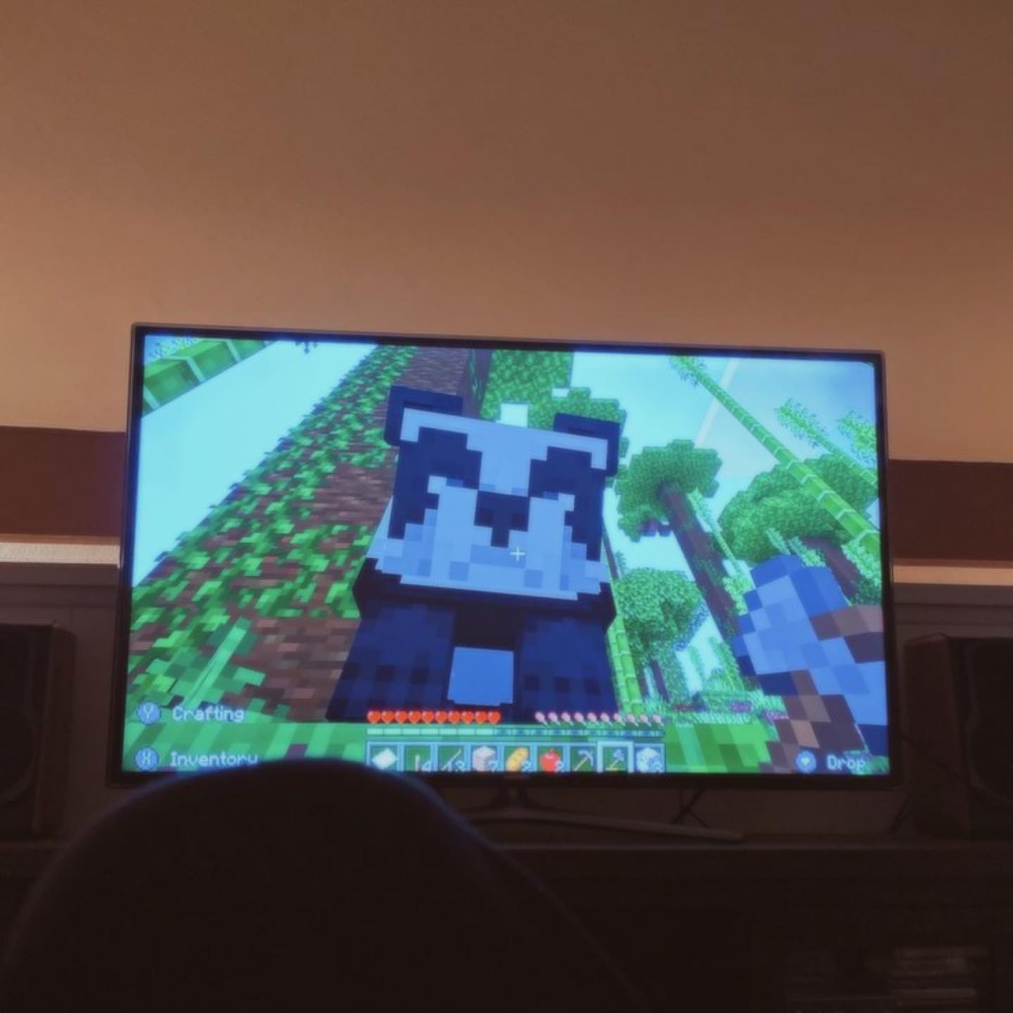 zommmbri instagram image archive image