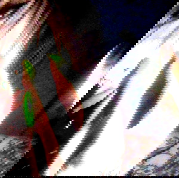 zommmbri image ~ Altpins