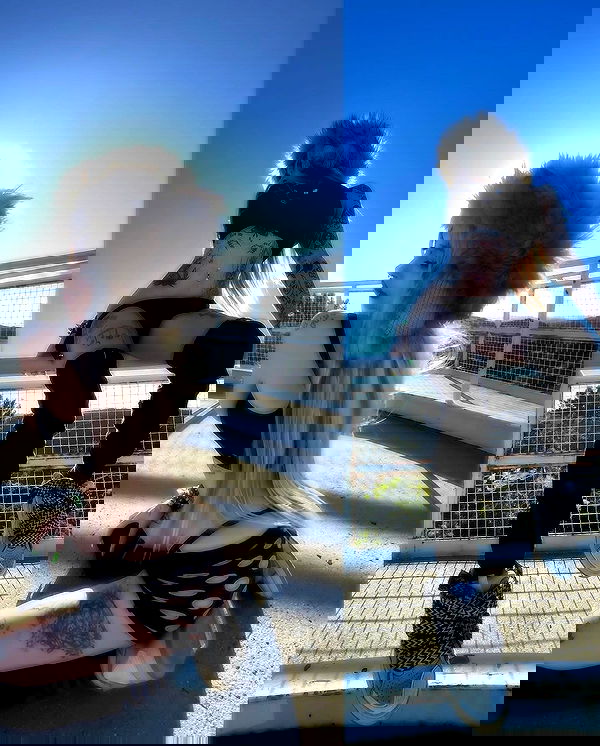 zommmbri image ~ Altpins