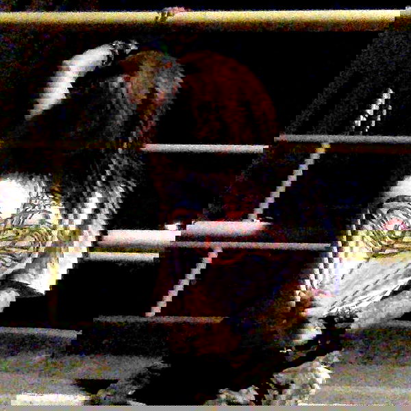 zommmbri image ~ Altpins