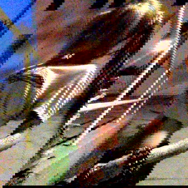 zommmbri image ~ Altpins