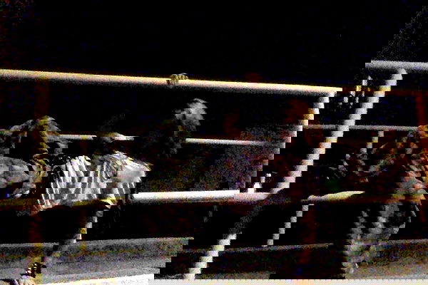 zommmbri image ~ Altpins