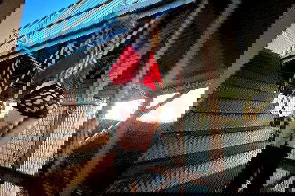 zommmbri image ~ Altpins