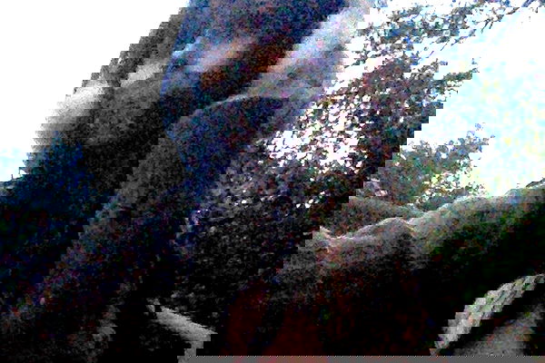 zommmbri image ~ Altpins