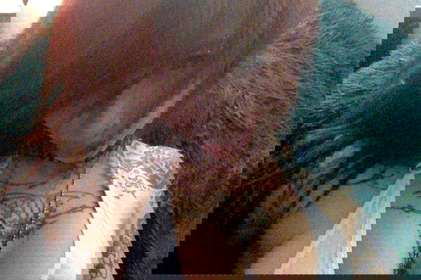 zommmbri image ~ Altpins