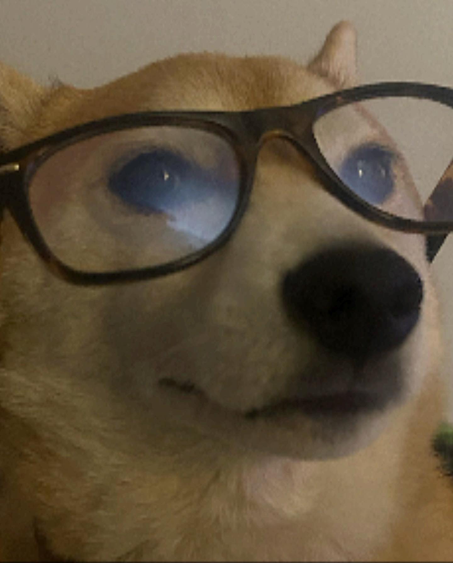 zommmbri instagram image archive image