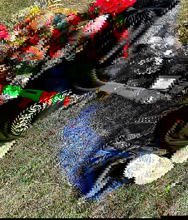 zommmbri image ~ Altpins