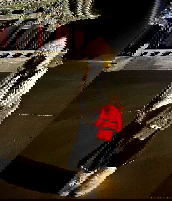 zommmbri image ~ Altpins