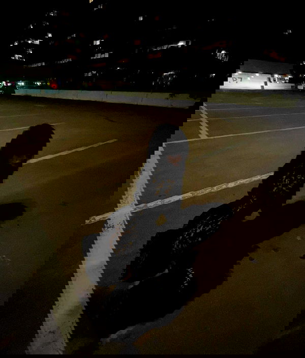 zommmbri image ~ Altpins