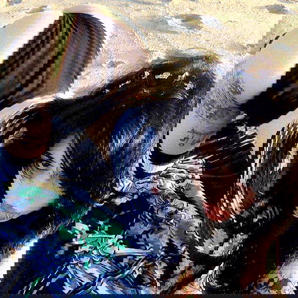 zommmbri image ~ Altpins