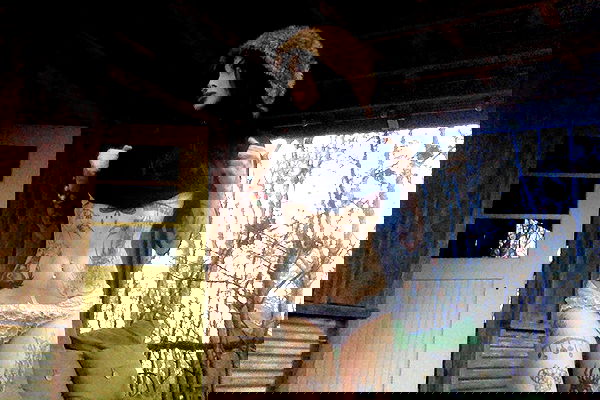 zommmbri image ~ Altpins