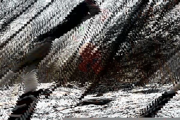 zommmbri image ~ Altpins