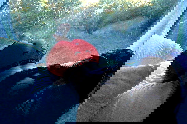 zommmbri image ~ Altpins