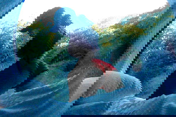 zommmbri image ~ Altpins