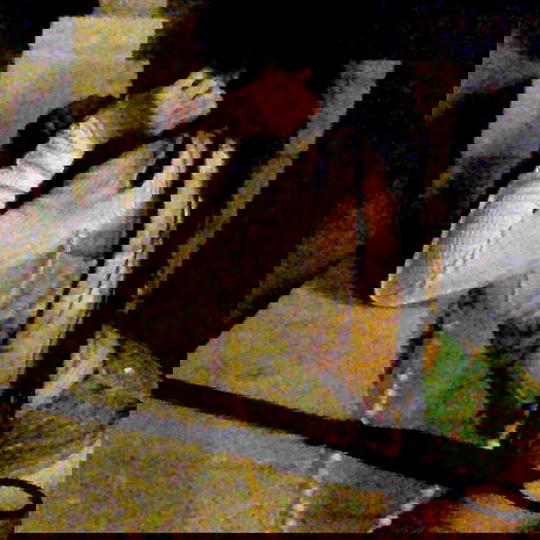 zommmbri image ~ Altpins