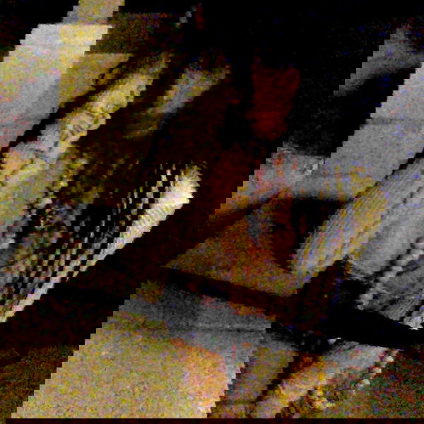 zommmbri image ~ Altpins