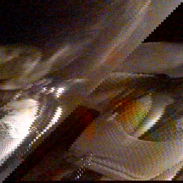 zommmbri image ~ Altpins