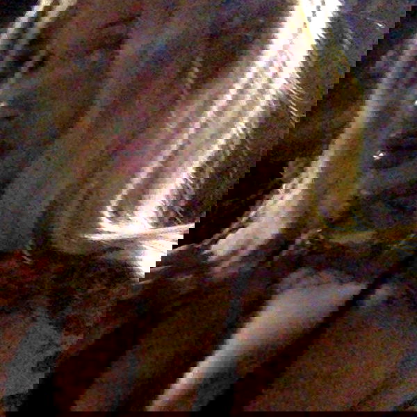 zommmbri image ~ Altpins