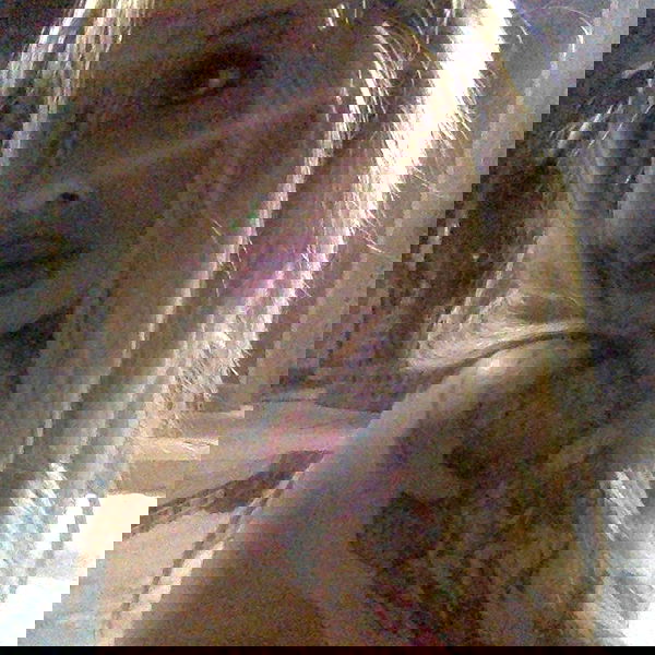 zommmbri image ~ Altpins