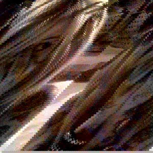 zommmbri image ~ Altpins