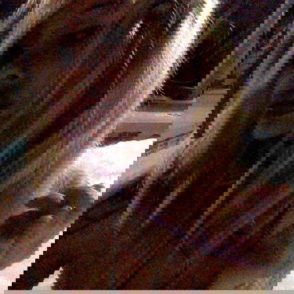 zommmbri image ~ Altpins