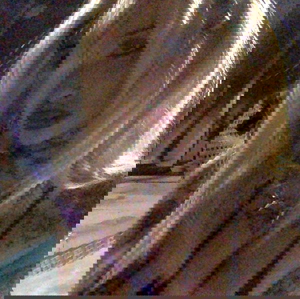 zommmbri image ~ Altpins