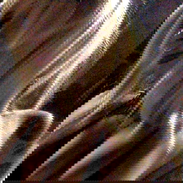 zommmbri image ~ Altpins