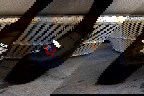 zommmbri image ~ Altpins