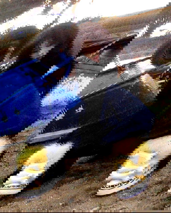 zommmbri image ~ Altpins