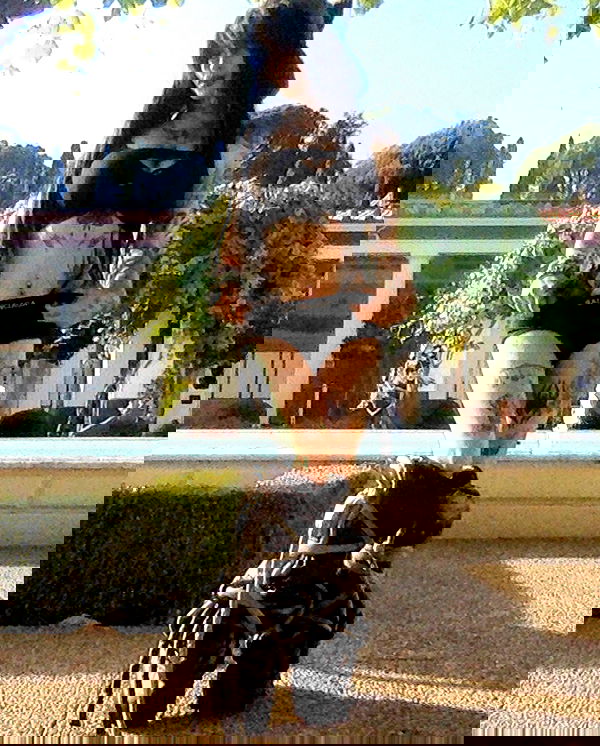 zommmbri image ~ Altpins