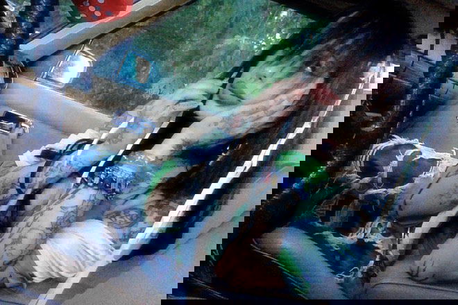 zommmbri instagram image archive image